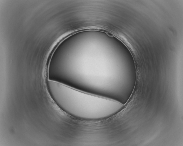 X0000112881140200908211046