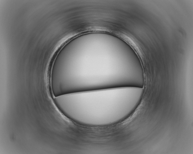 X0000112881141200908211046