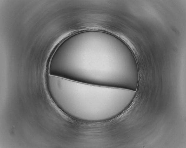 X0000112881142200908211046