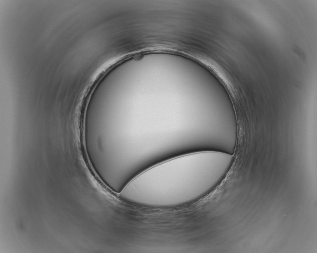 X0000112881143200908211046