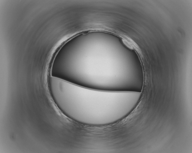 X0000112881144200908211046