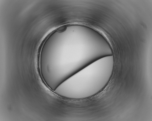 X0000112881147200908211046