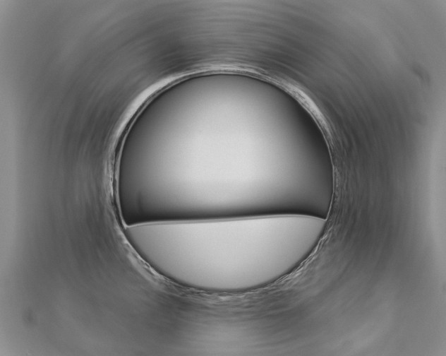 X0000112881148200908211046