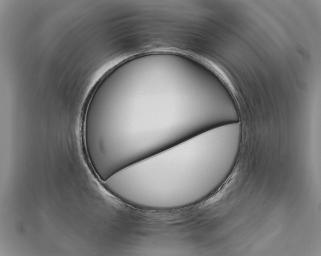 X0000112881149200908211046
