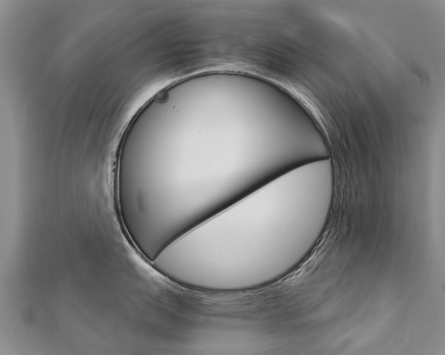 X0000112881151200908211046