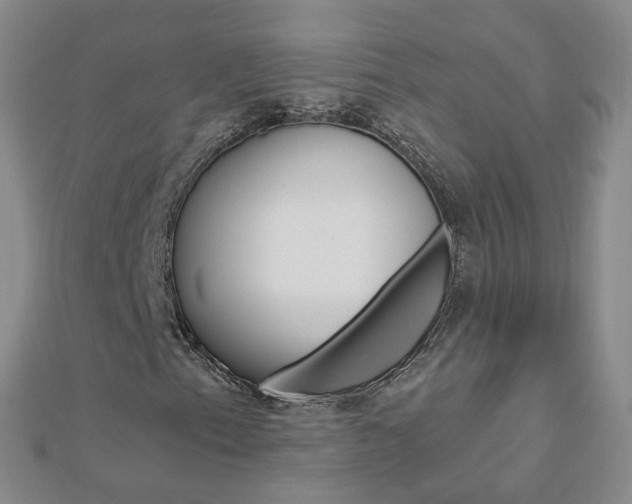 X0000112881153200908211045
