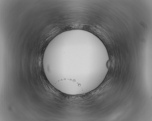 X0000112881154200908211045
