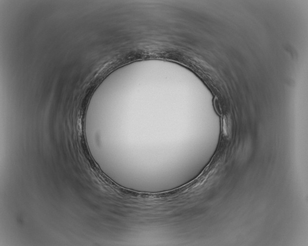 X0000112881155200908211045