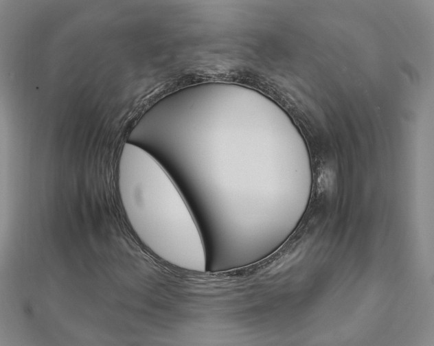 X0000112881156200908211045