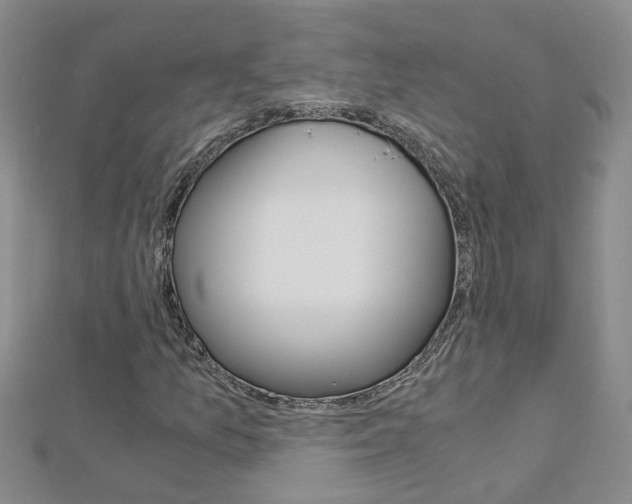 X0000112881157200908211045