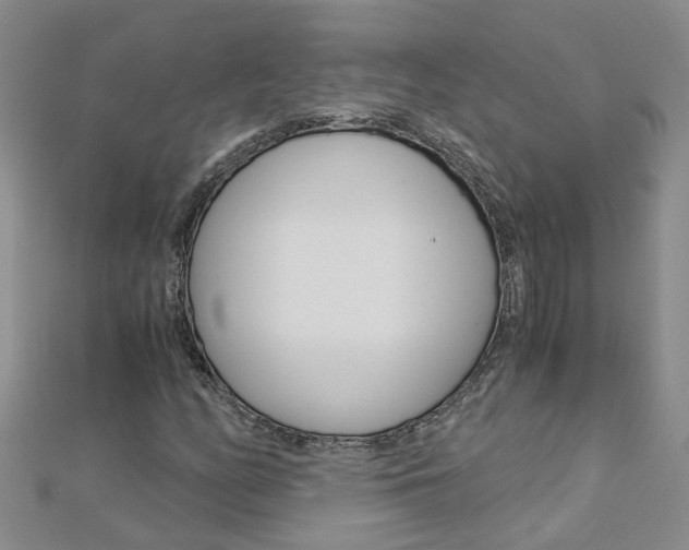 X0000112881158200908211045