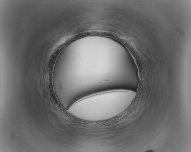 X0000112881159200908211045