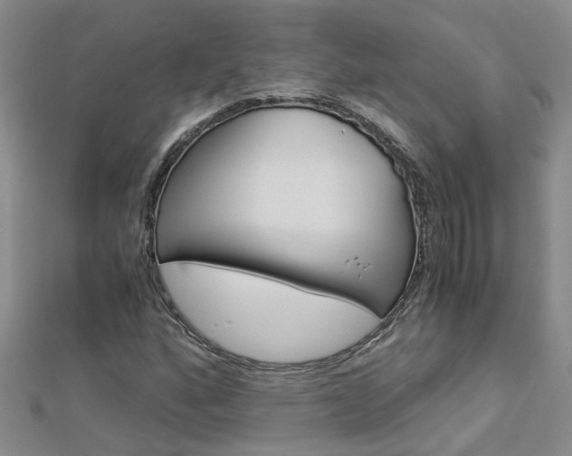 X0000112881160200908211045