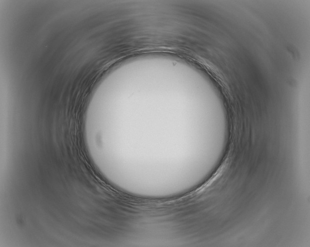 X0000112881161200908211045