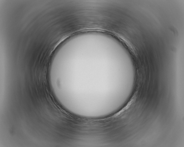 X0000112881162200908211045