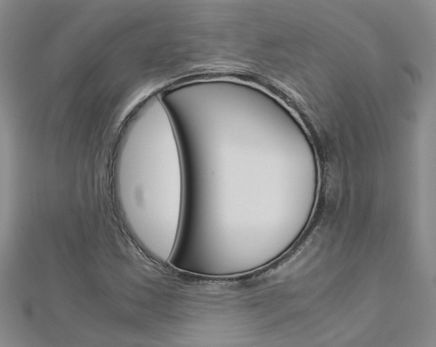 X0000112881163200908211045