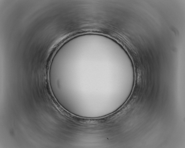 X0000112881164200908211045