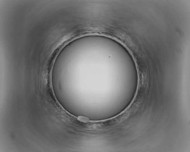 X0000112881165200908211045