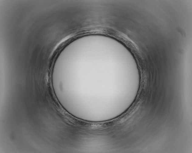 X0000112881166200908211045
