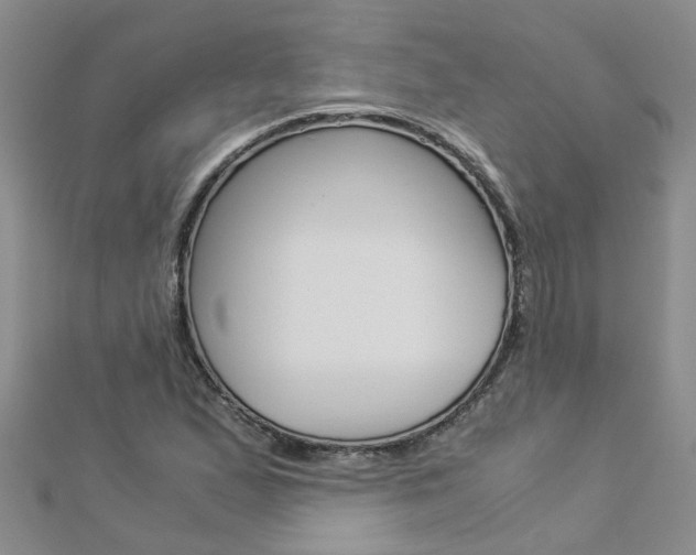 X0000112881167200908211045