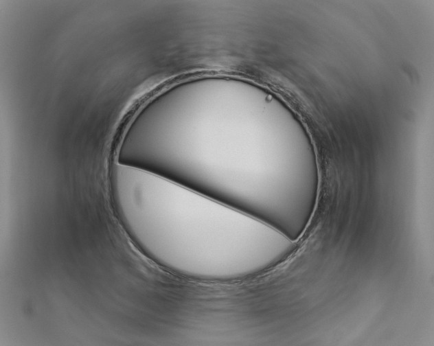 X0000112881168200908211045