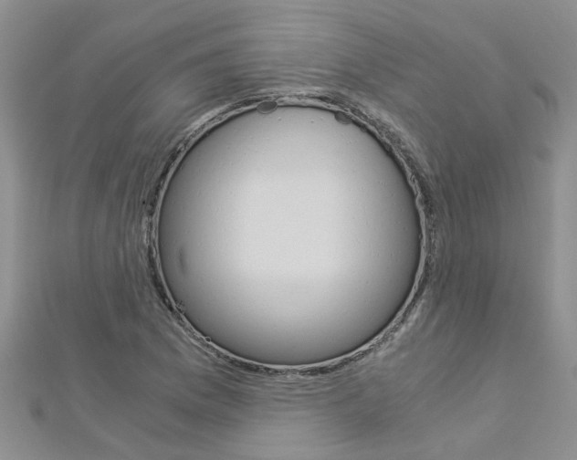 X0000112881169200908211045