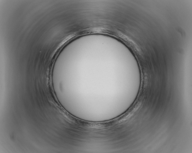 X0000112881170200908211045