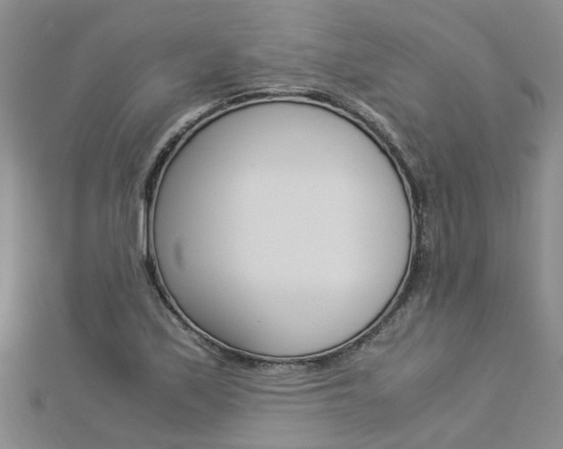 X0000112881171200908211045