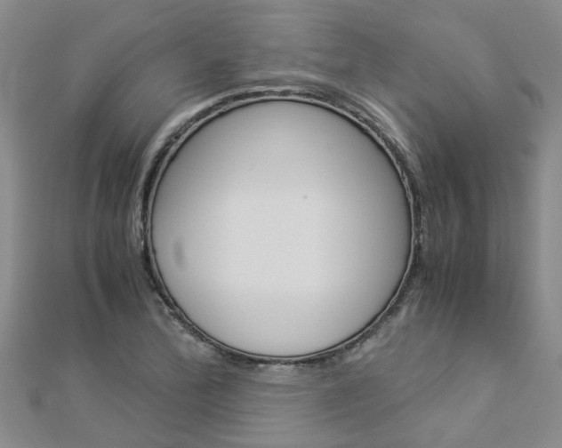X0000112881172200908211045