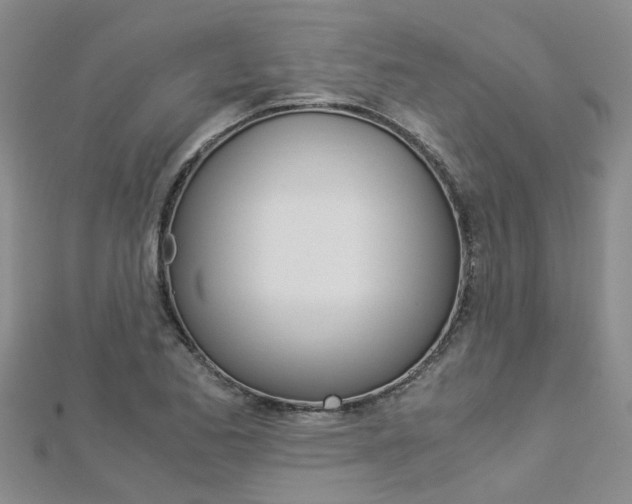 X0000112881173200908211045