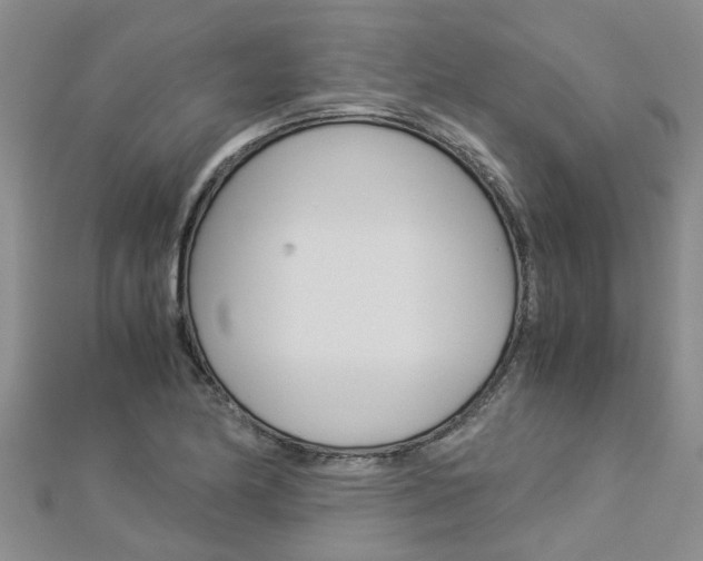 X0000112881174200908211045