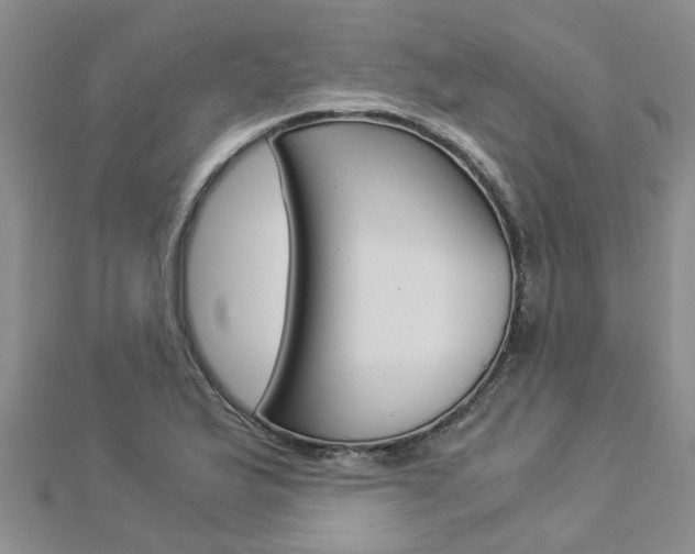 X0000112881175200908211045