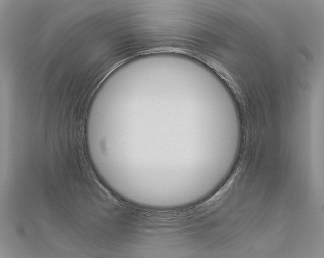 X0000112881177200908211045