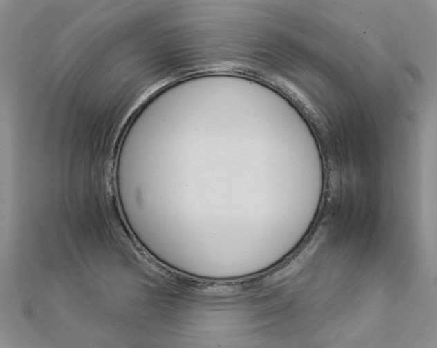 X0000112881178200908211045