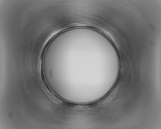 X0000112881179200908211045