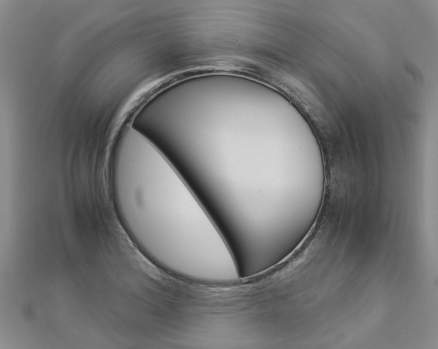 X0000112881180200908211045