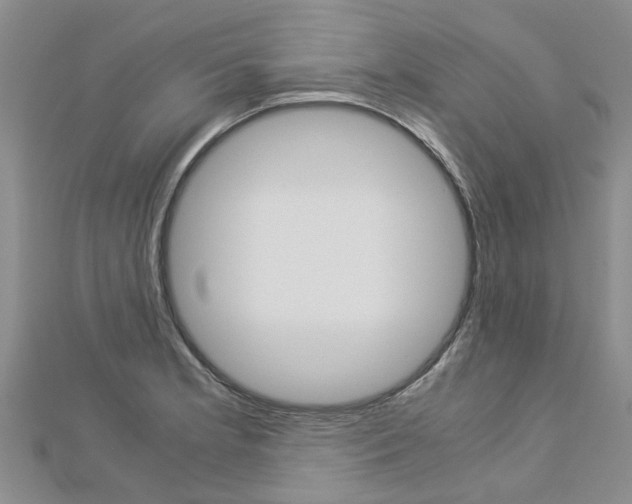X0000112881181200908211045