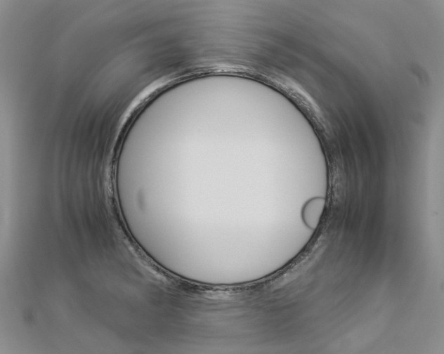X0000112881182200908211045