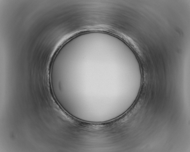 X0000112881184200908211045