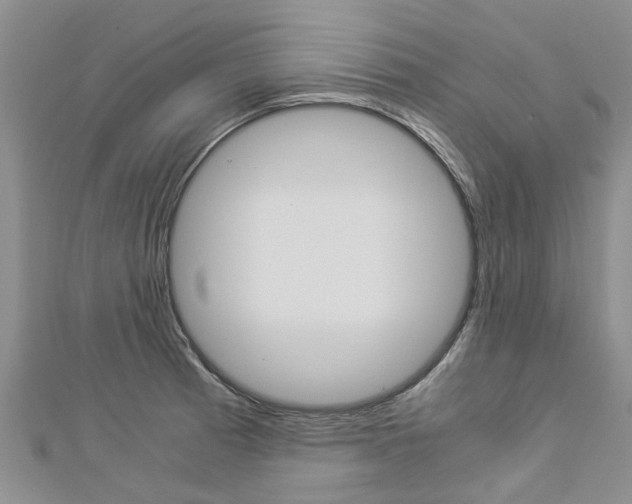 X0000112881185200908211045