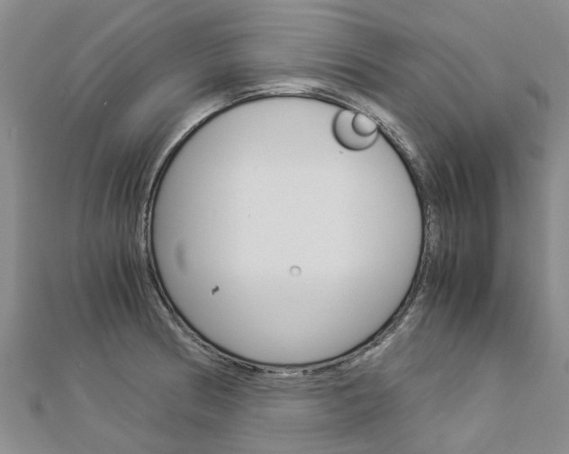 X0000112881186200908211045