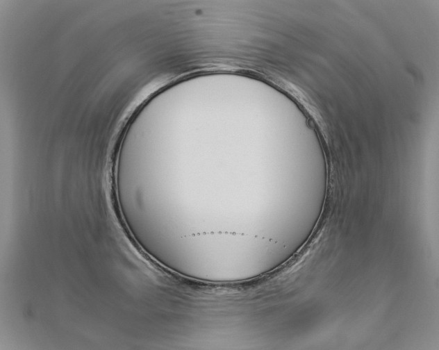 X0000112881187200908211045
