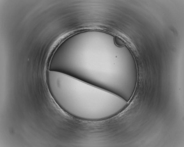 X0000112881188200908211045