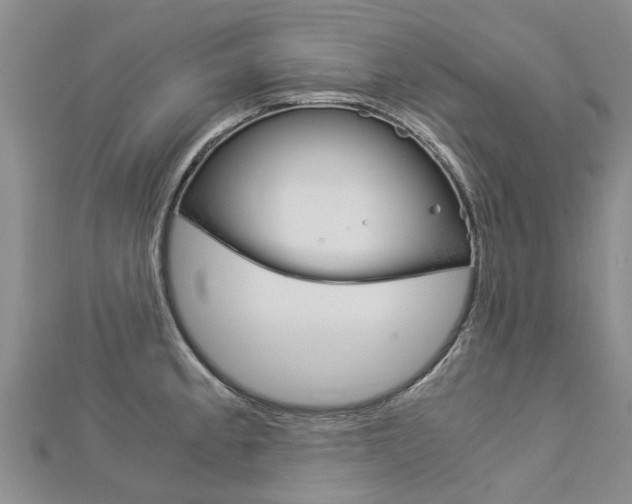 X0000112881189200908211045