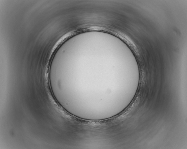 X0000112881190200908211045