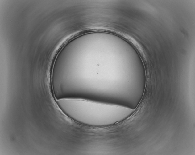 X0000112881191200908211045
