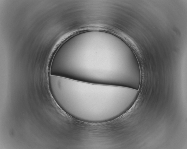 X0000112881192200908211045