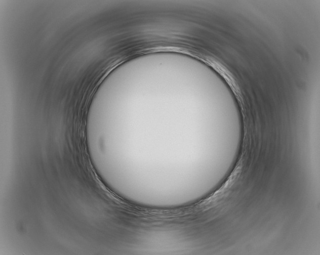 X0000112881193200908211045