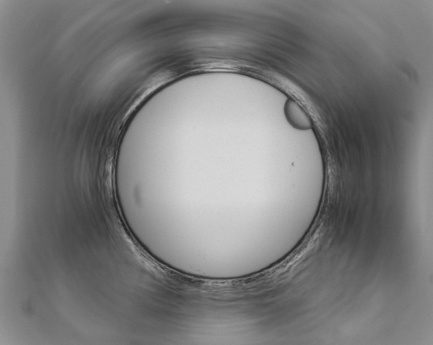 X0000112881194200908211045
