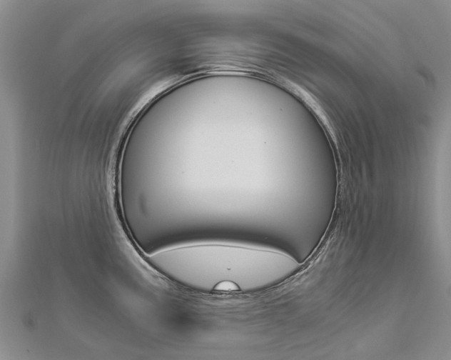 X0000112881195200908211045